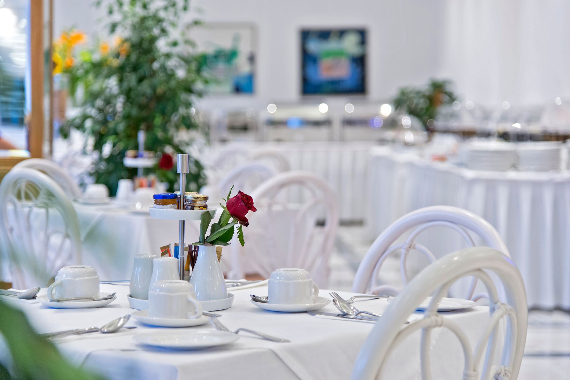 Kydon, The Heart City Hotel