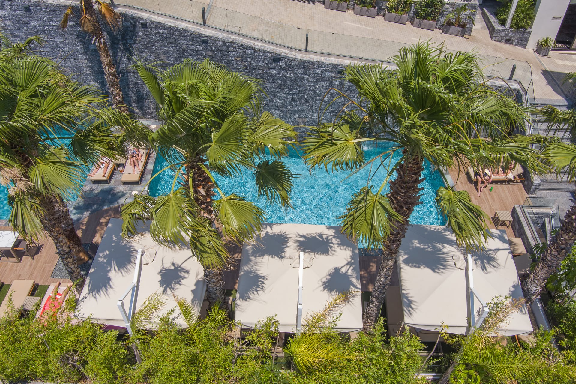 Lazar Lux Suites