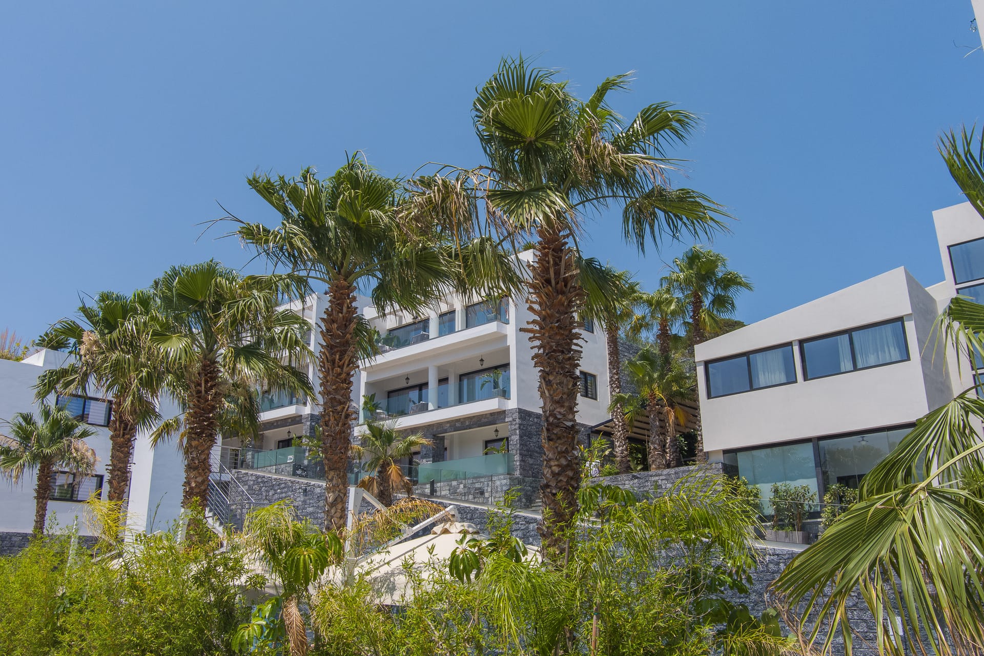 Lazar Lux Suites
