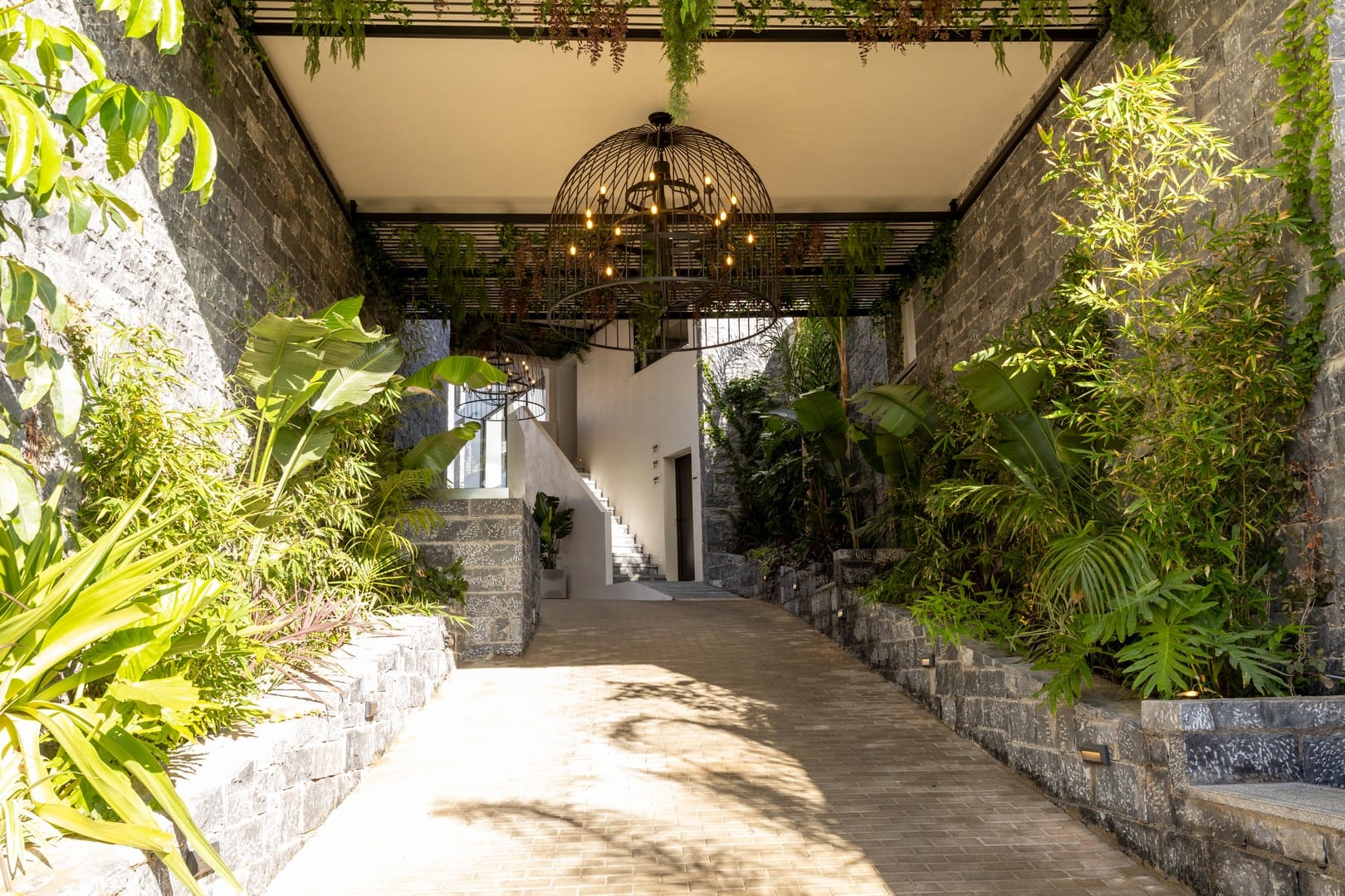 Lazar Lux Suites