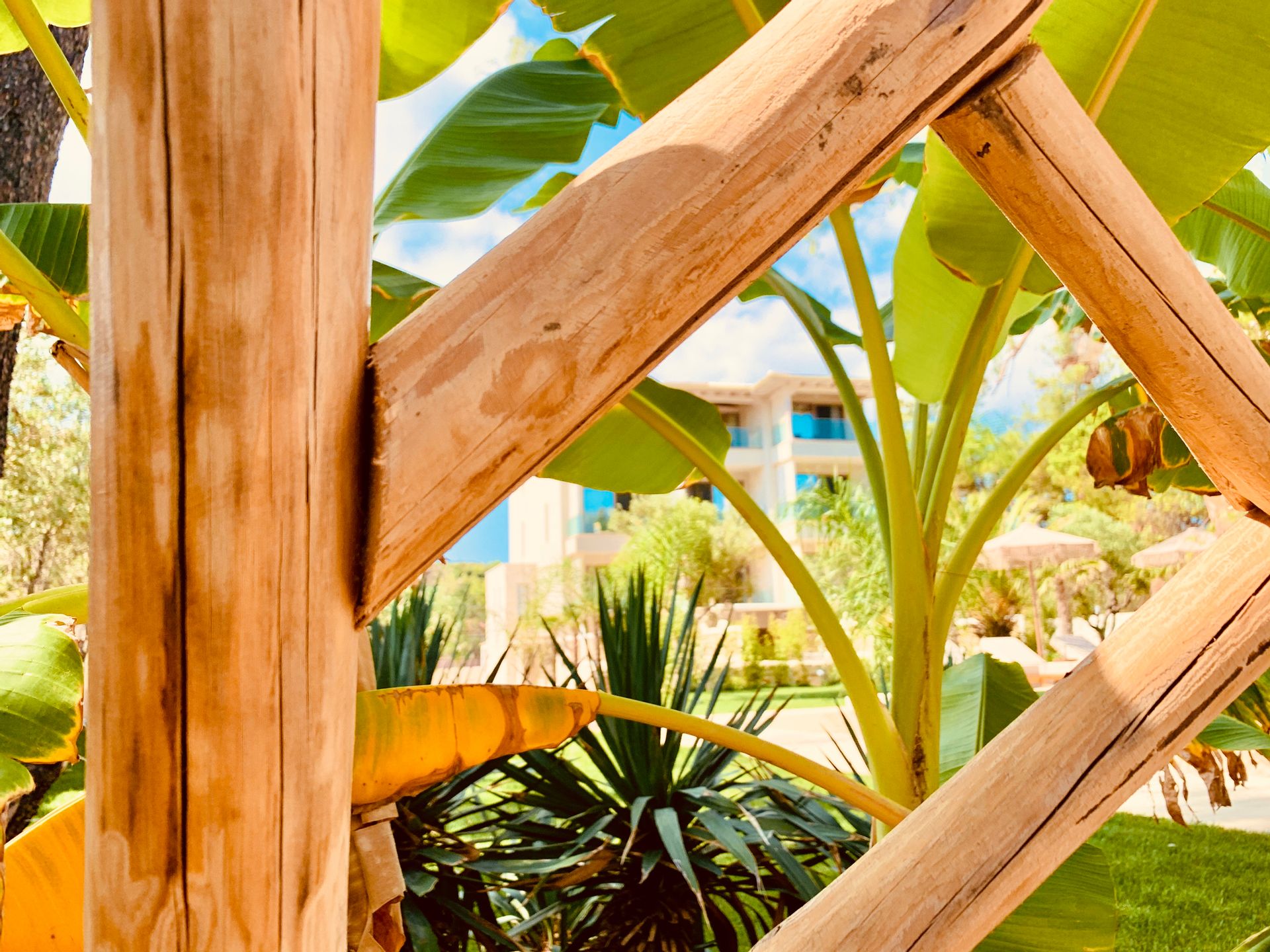 MAKO Sea & Suites
