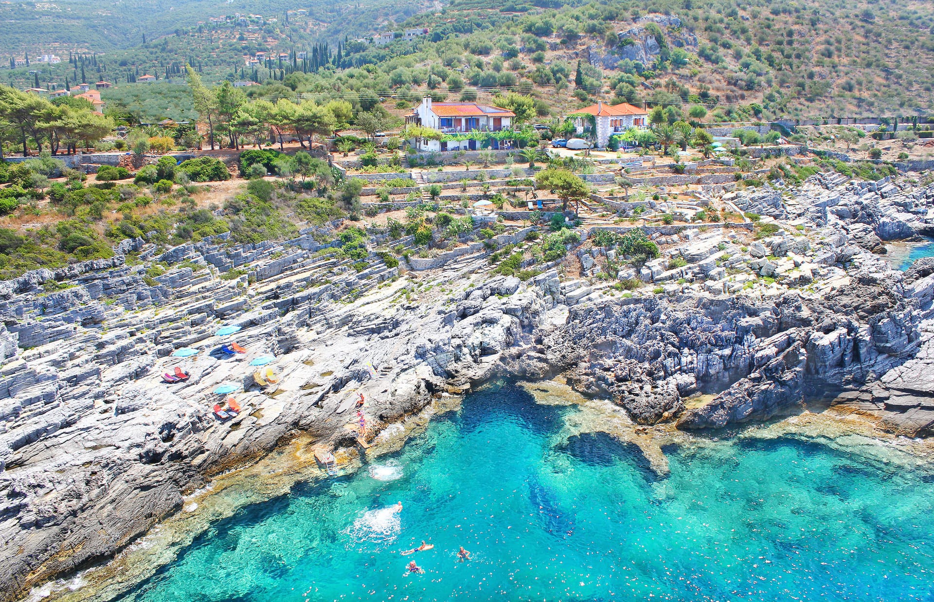 Mani Suites