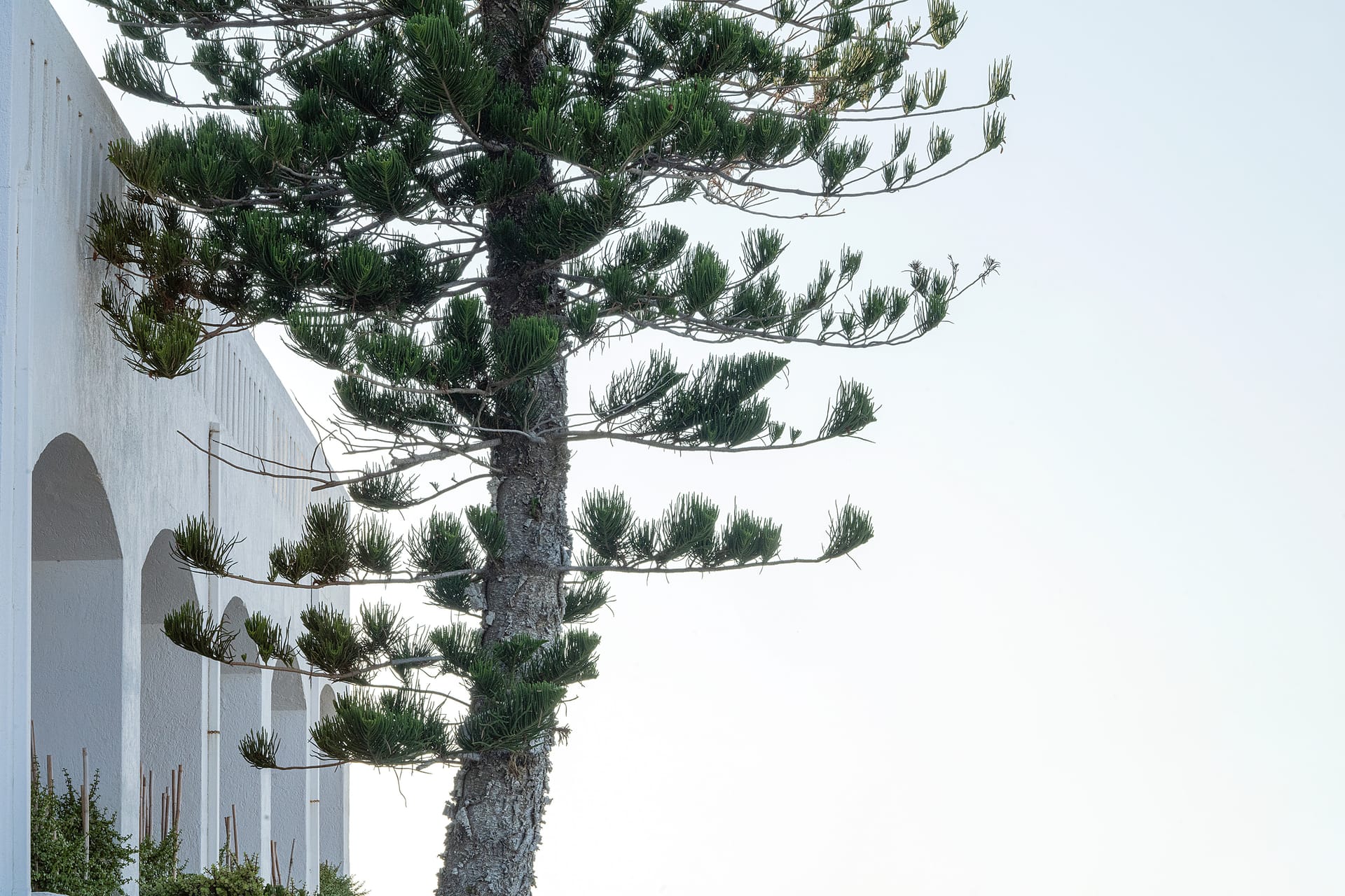 Maritimo Beach Hotel
