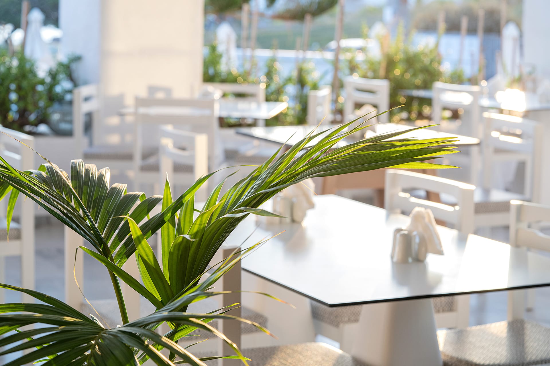 Maritimo Beach Hotel
