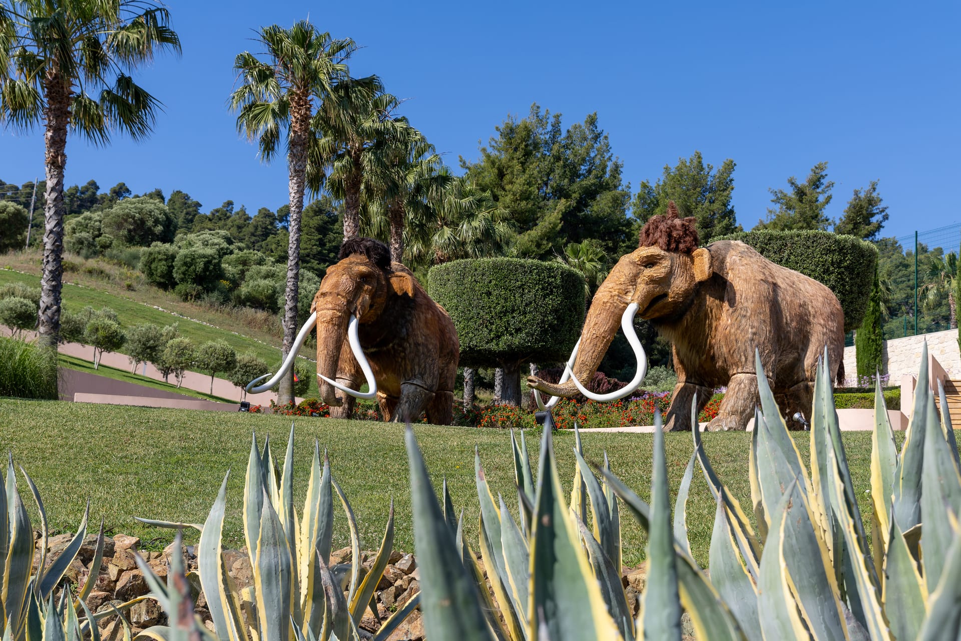 Miraggio Thermal Spa Resort