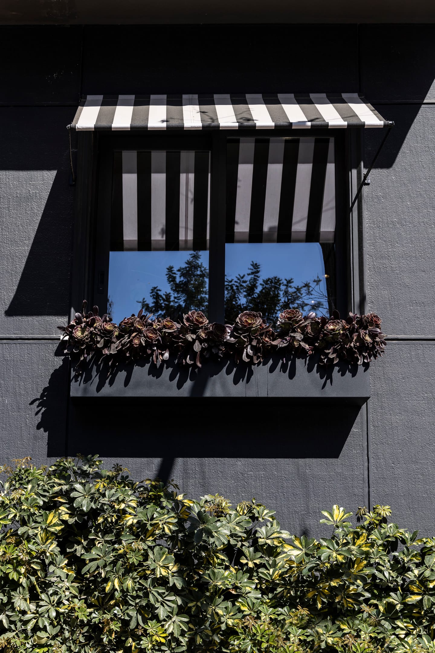 The Modernist Athens