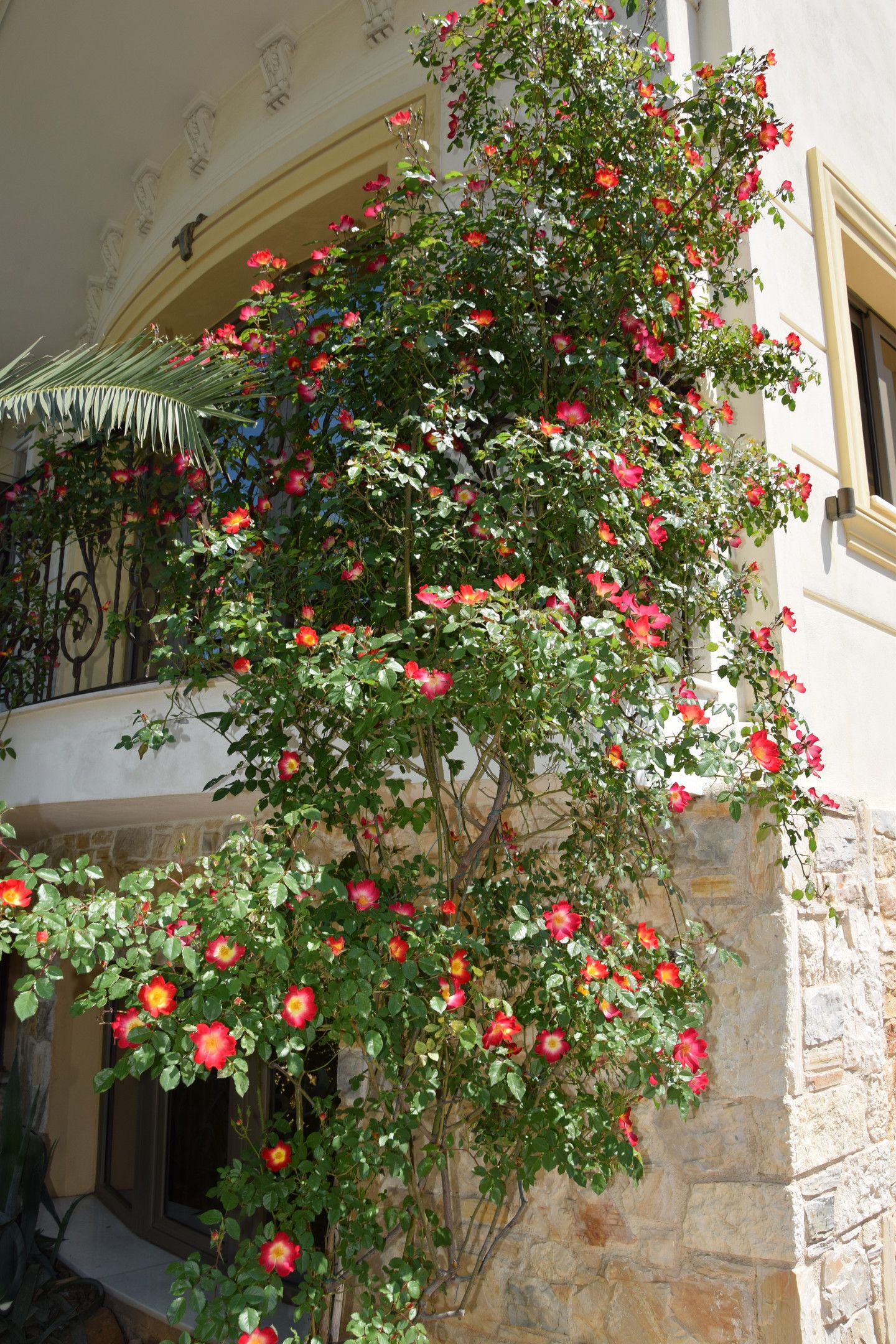 Olympic Fashion Hotel Athens