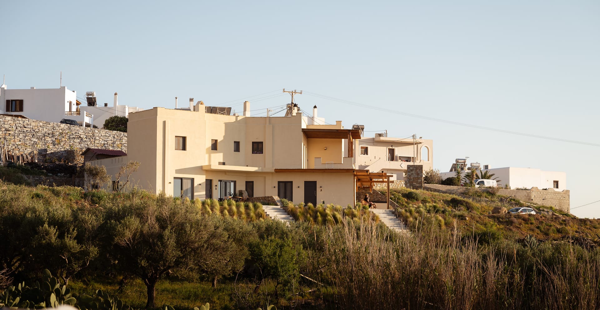 Opuntia Suites