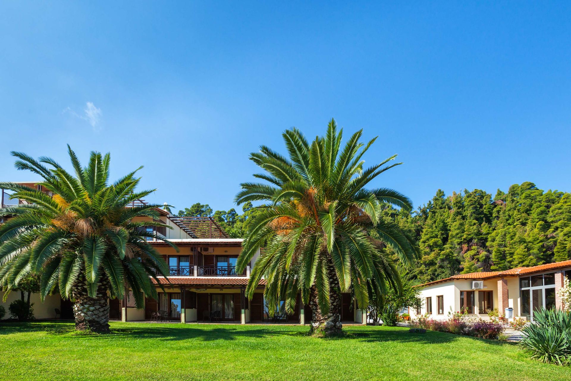Palladium Hotel Halkidiki