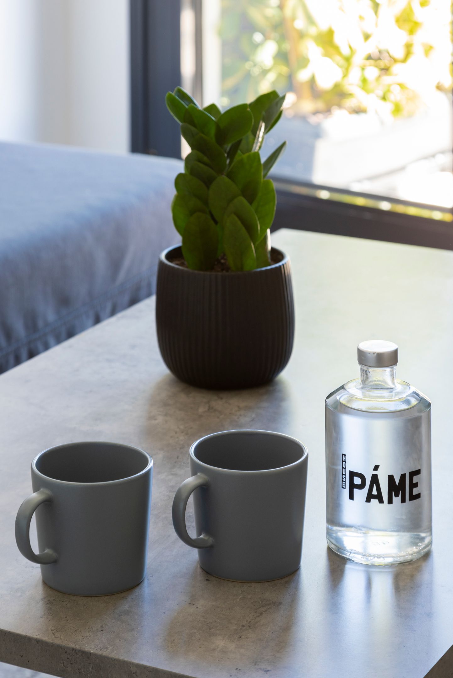 PAME House