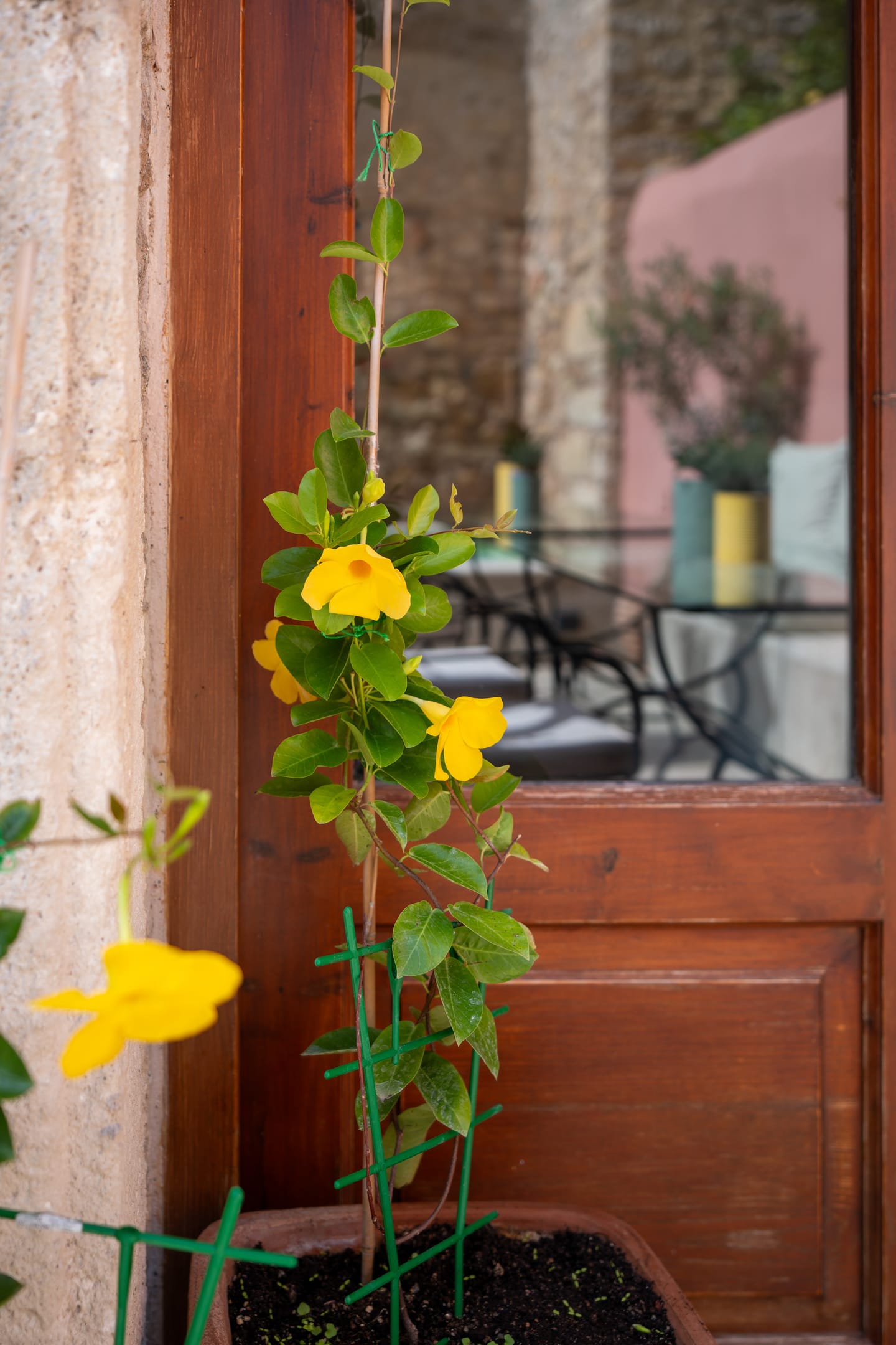 Phaedra Suites Rethymno