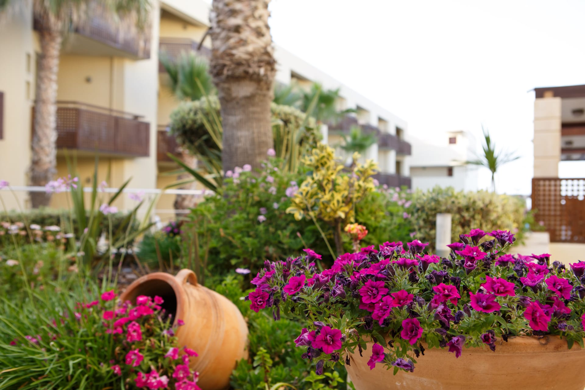 Giannoulis Santa Marina Plaza (Adults Only)