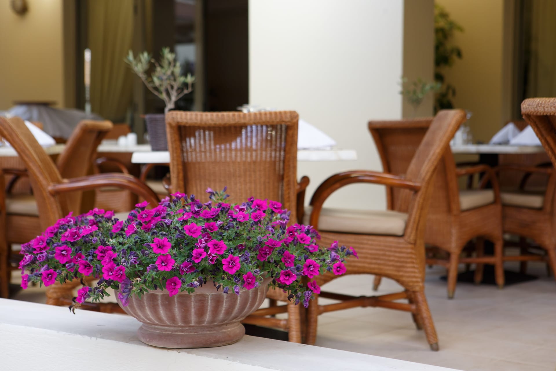 Giannoulis Santa Marina Plaza (Adults Only)