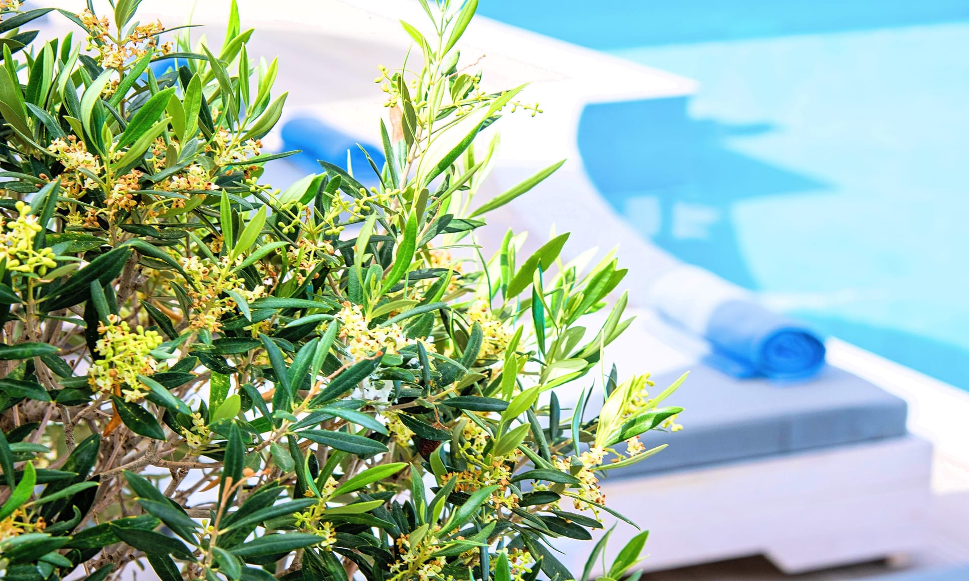 Elounda Garden Suites
