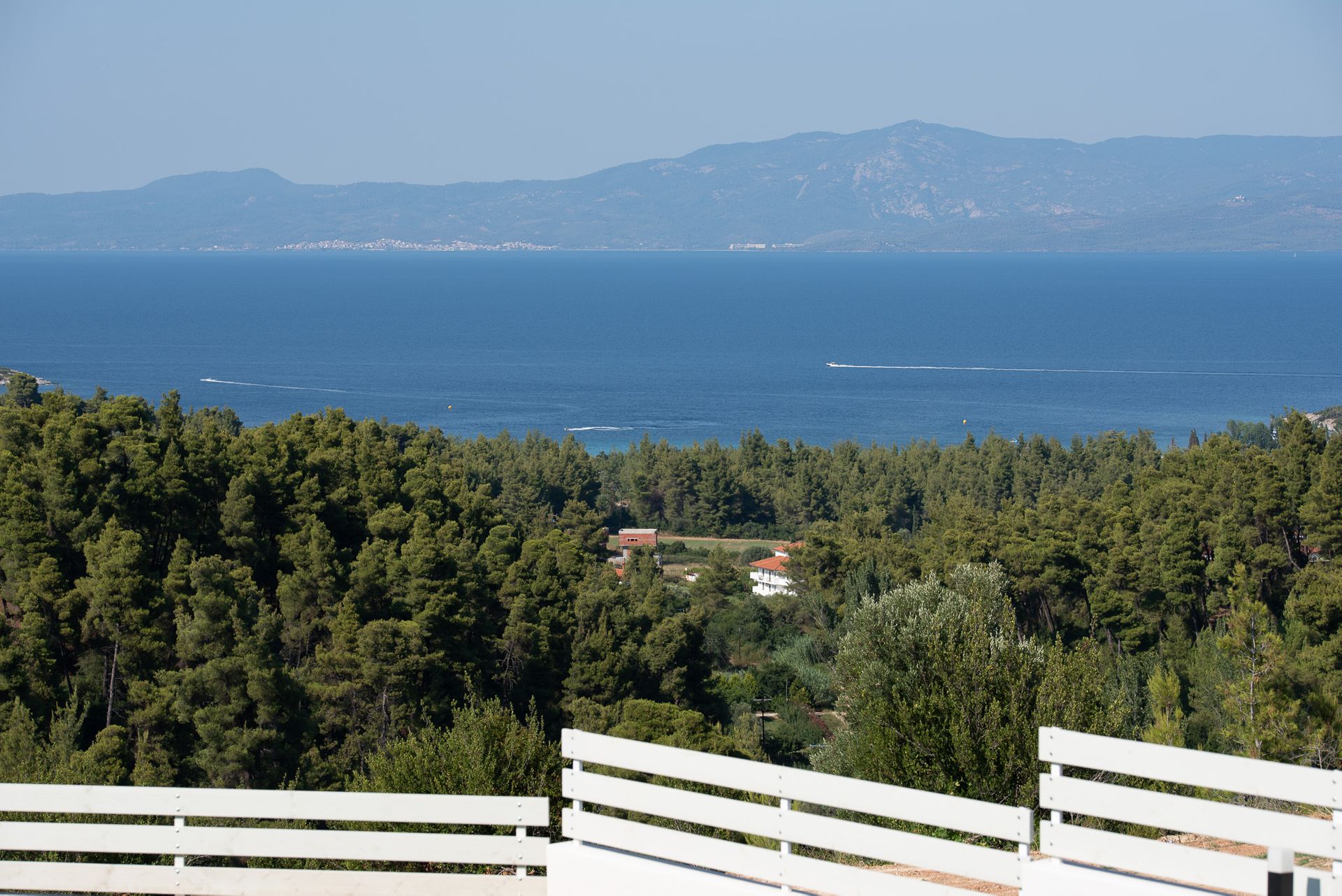 Terra Olivia Chalkidiki