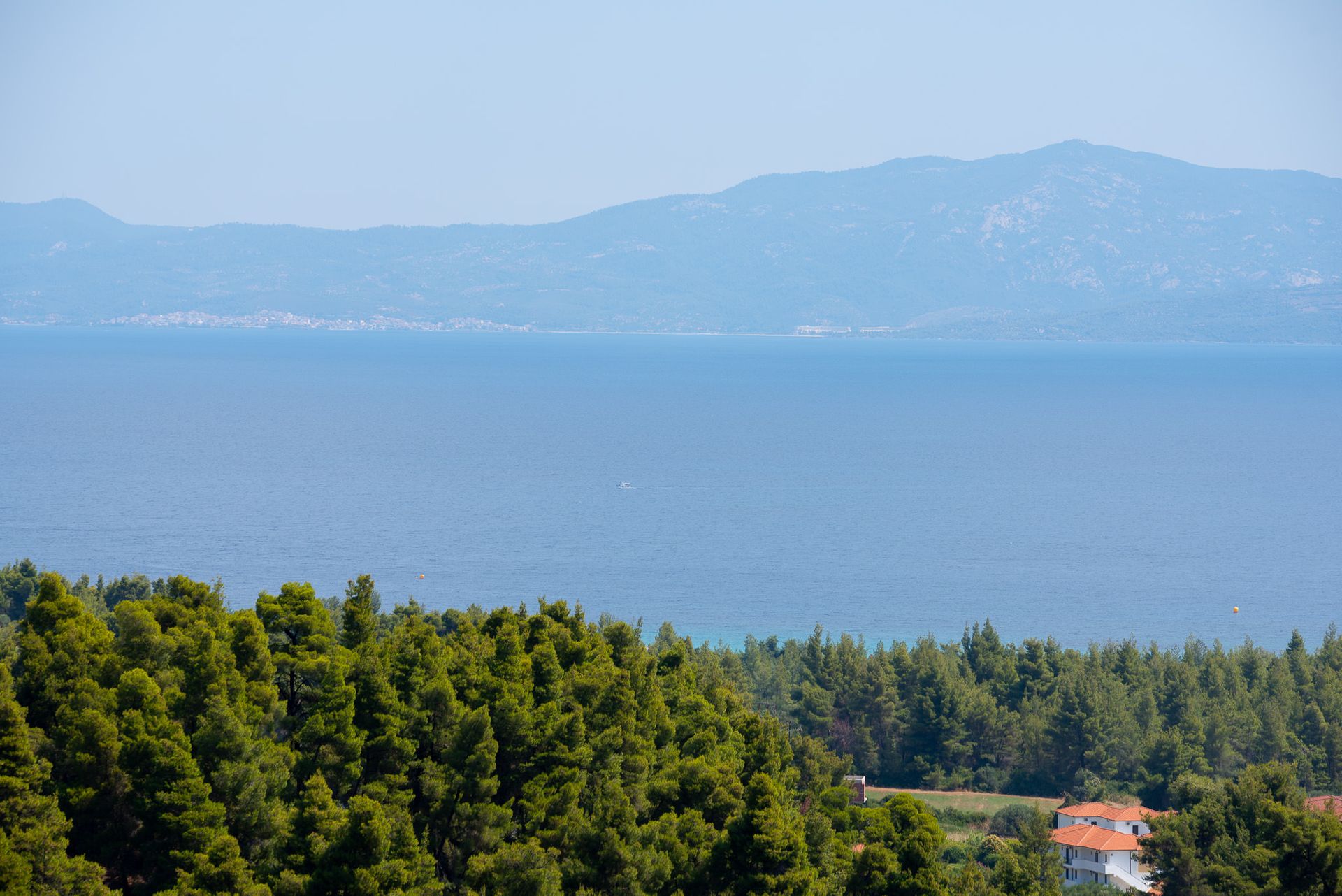 Terra Olivia Chalkidiki