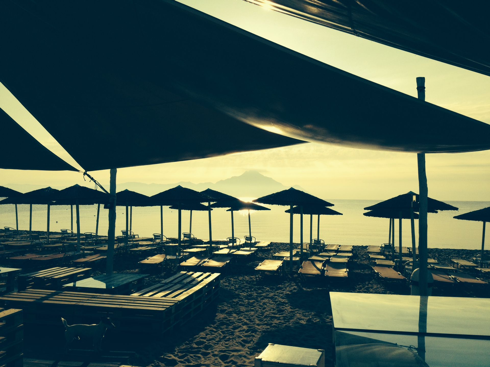 Thalassa Boutique Hotel