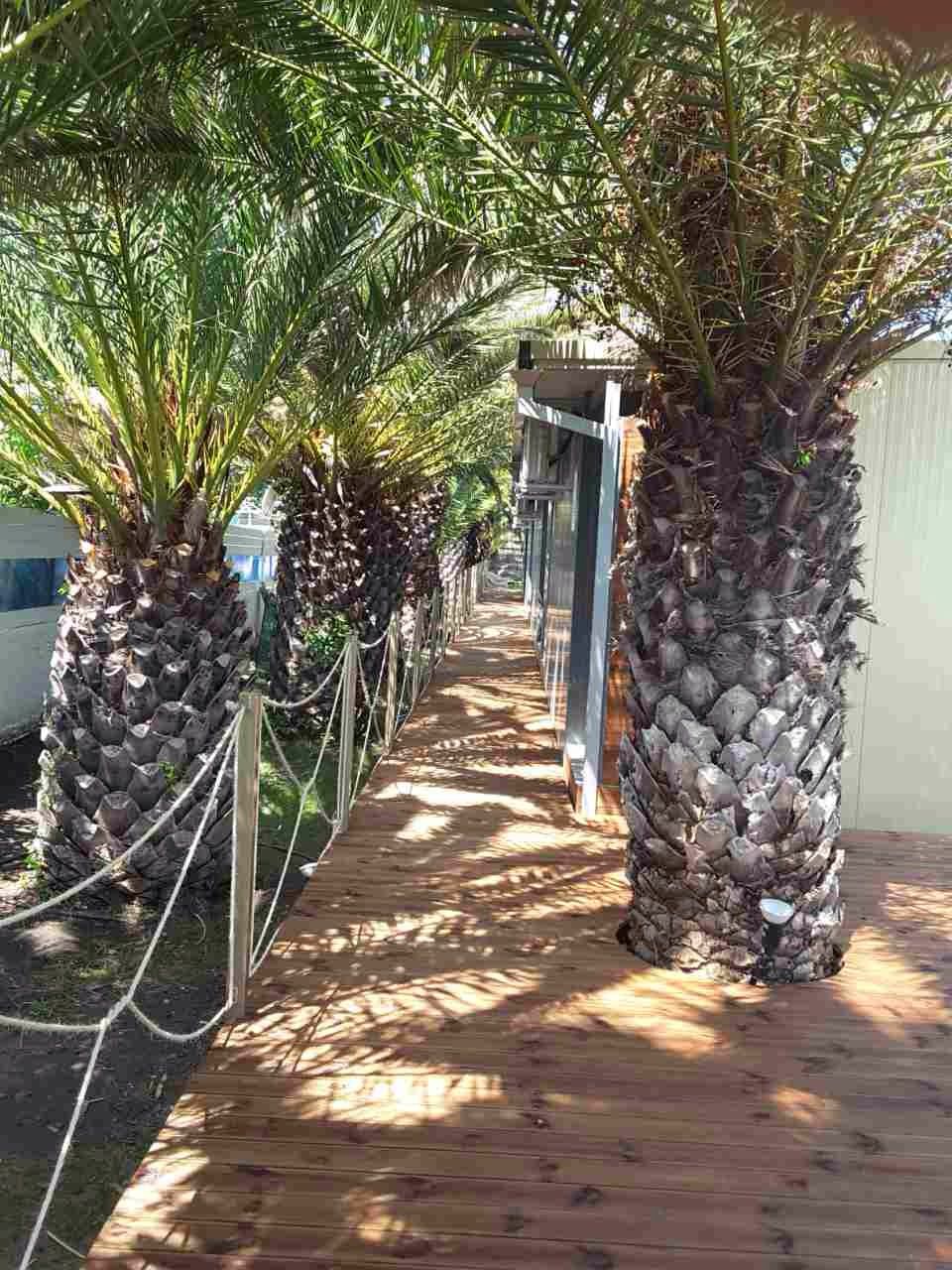 Thalassa Boutique Hotel