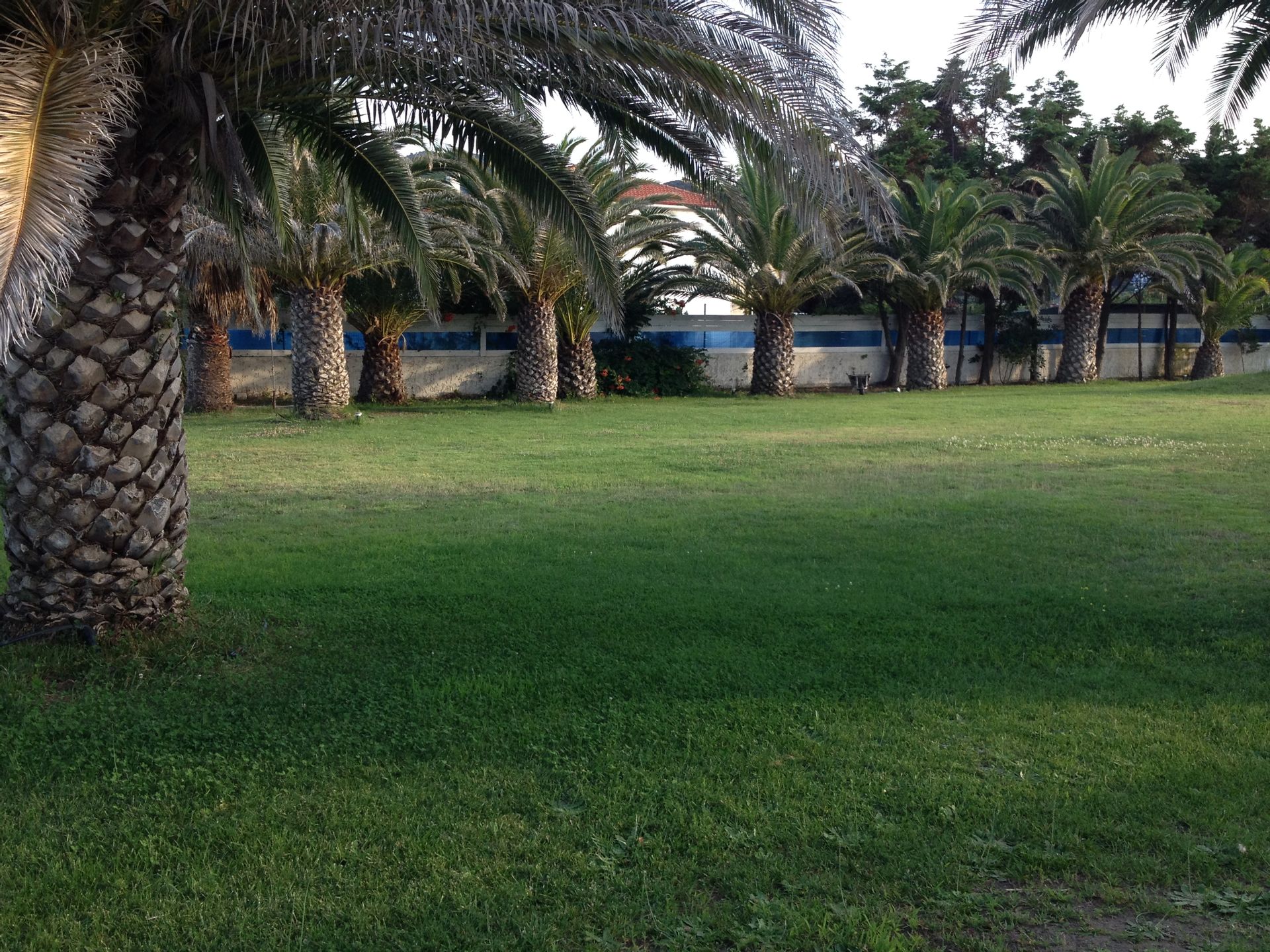 Thalassa Boutique Hotel