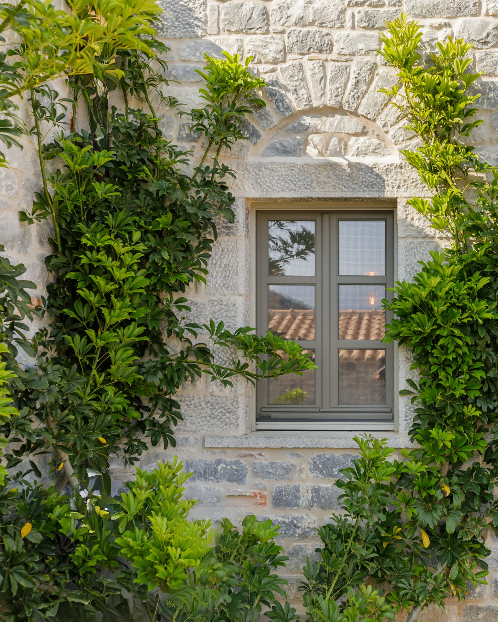 Trapela Limeni, Luxury Suites