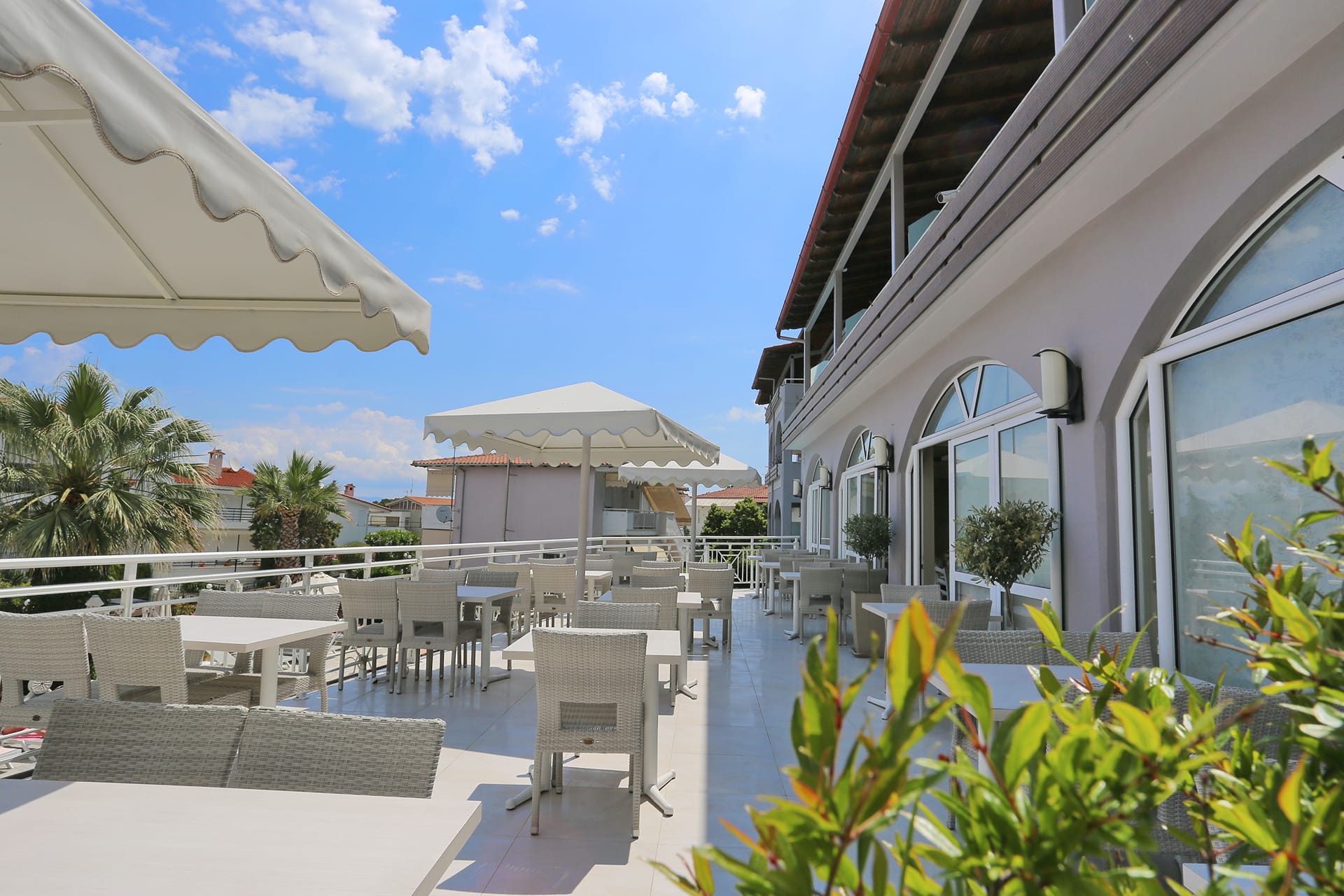 Hotel Tropical