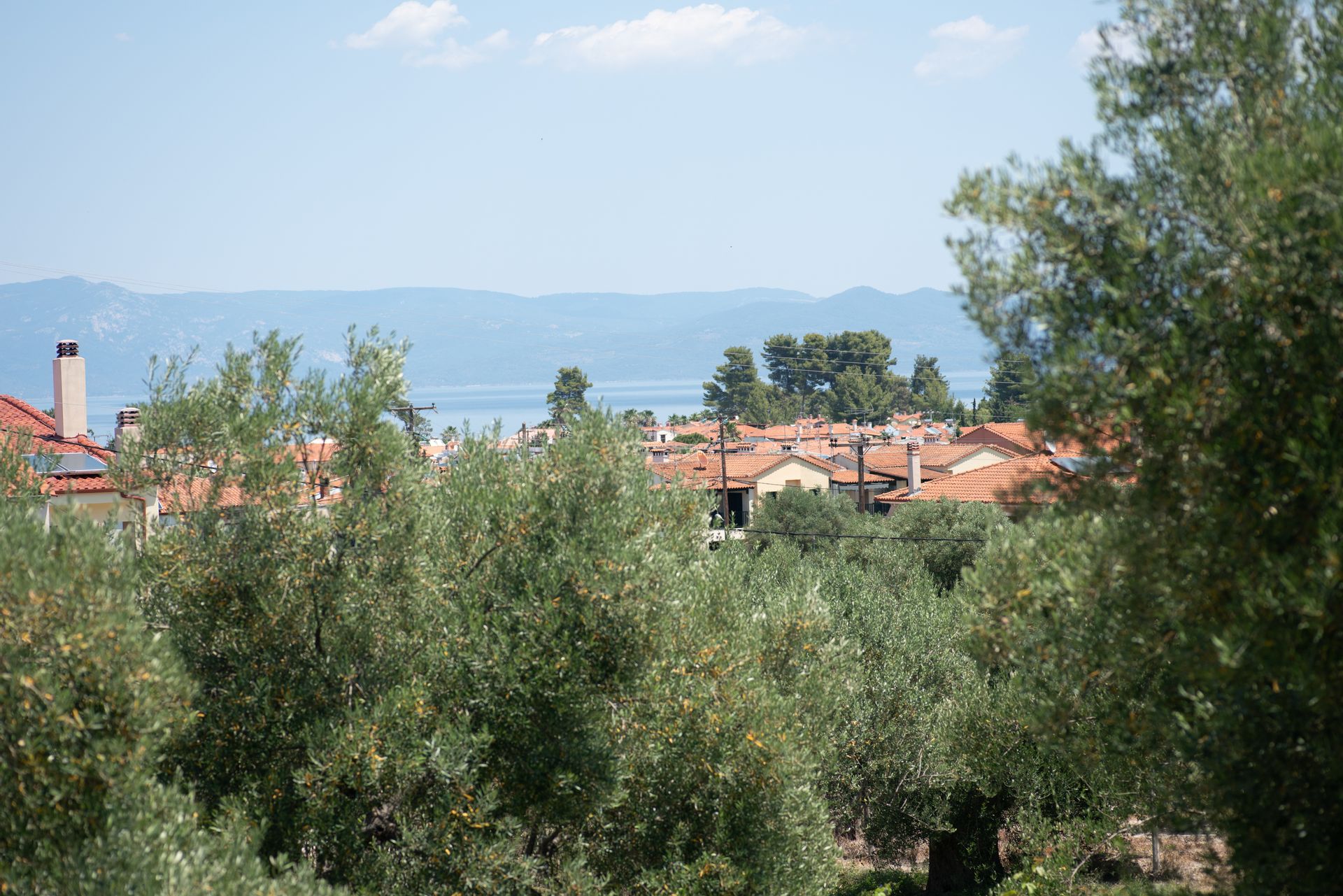 Valery Apartments Pefkohori