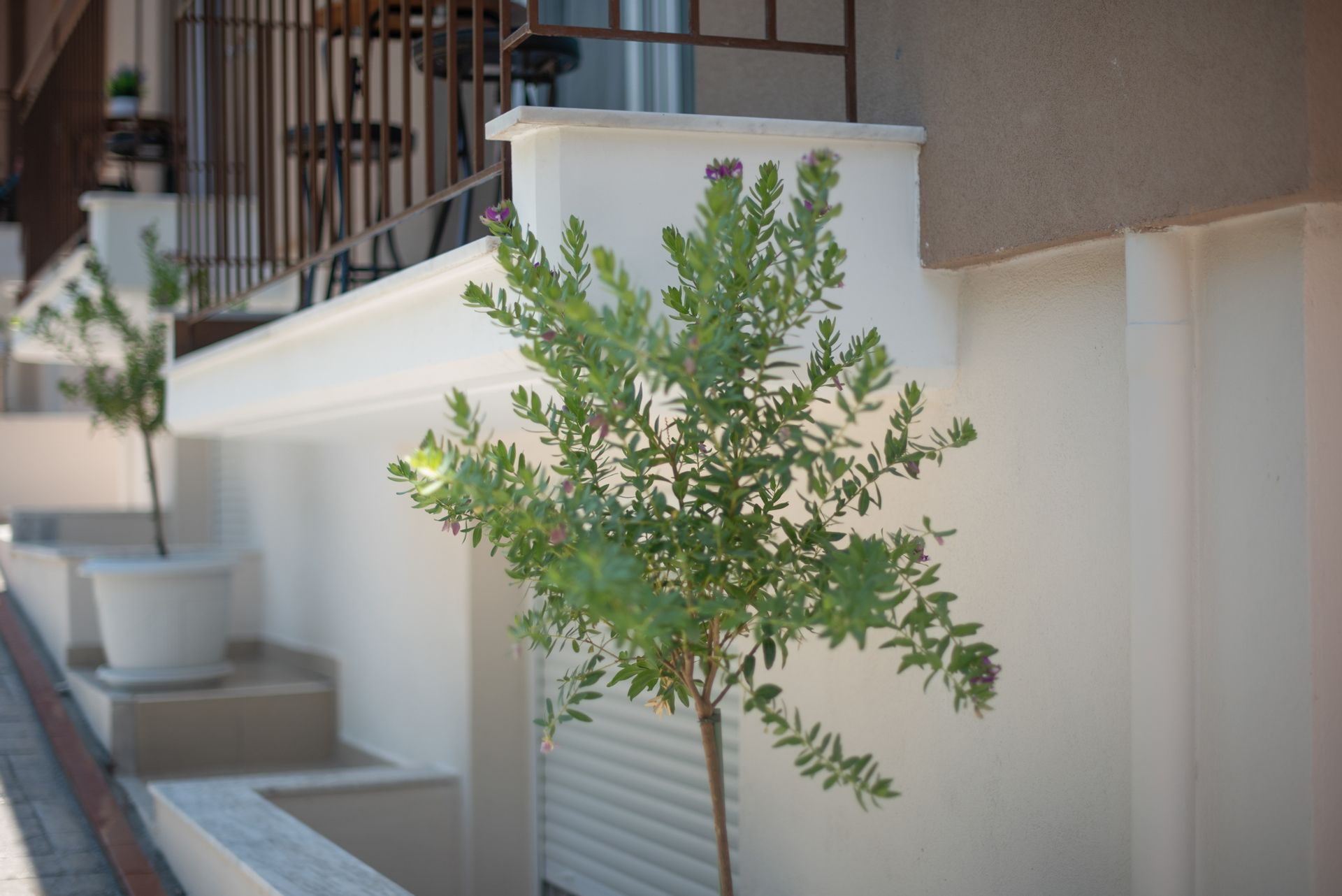 Valery Apartments Pefkohori