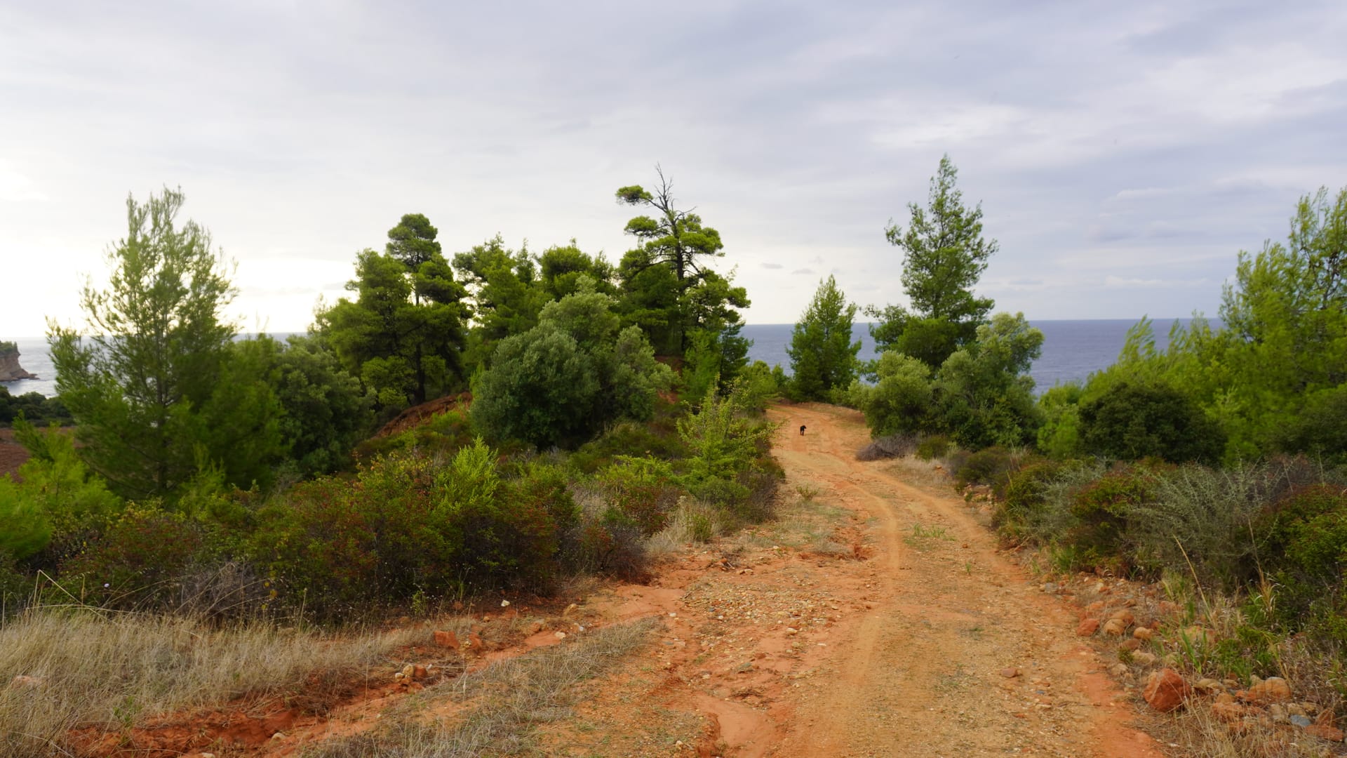 Halkidiki Kassandra Villa 3P