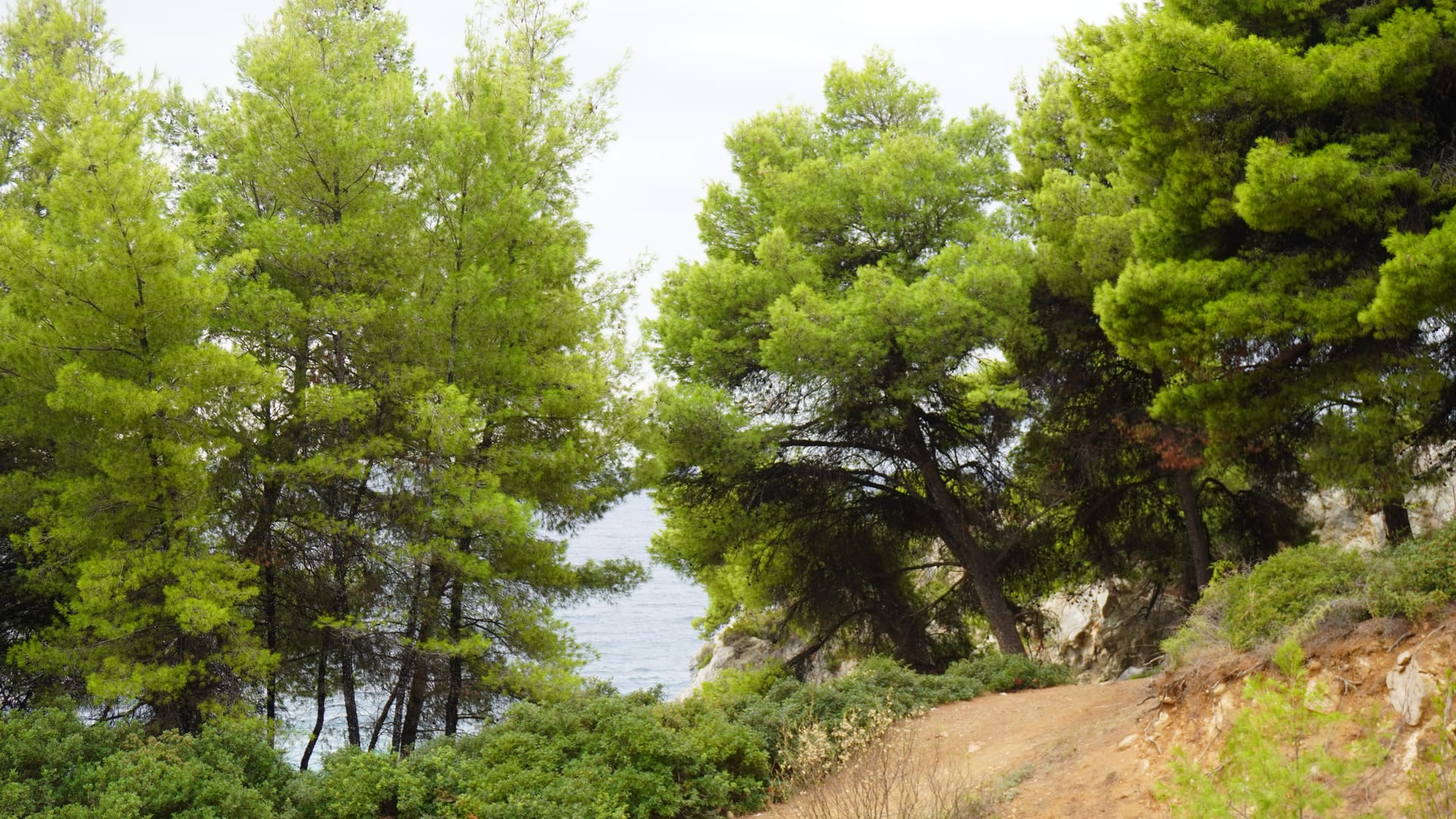 Halkidiki Kassandra Villa 3P