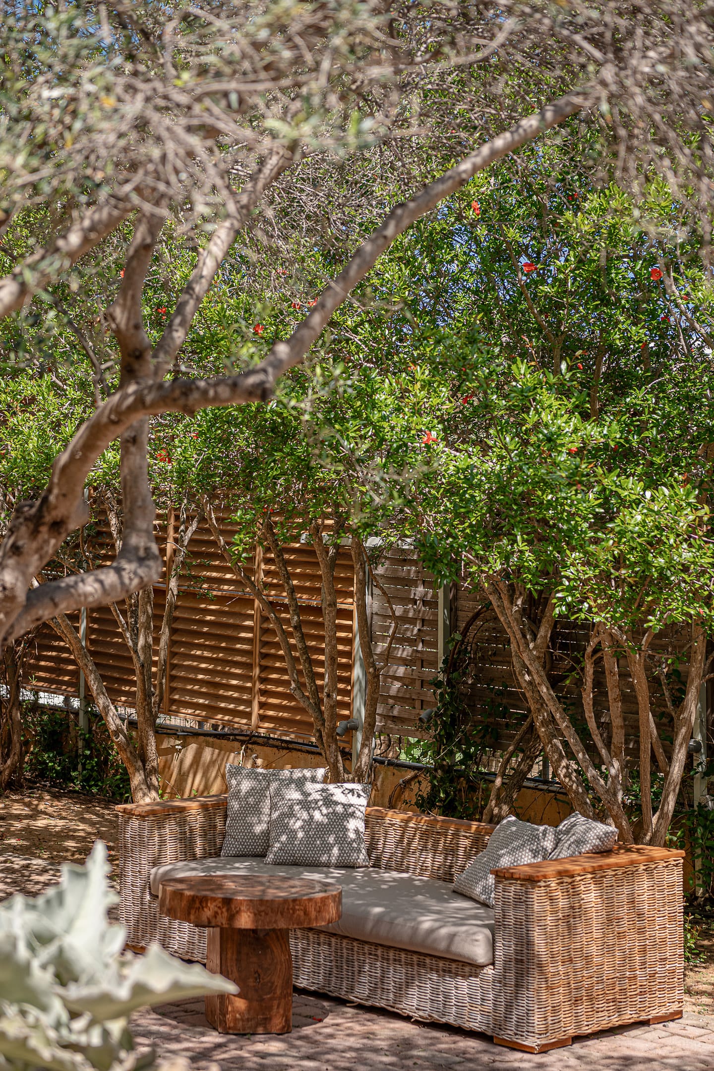 Villa Dimi