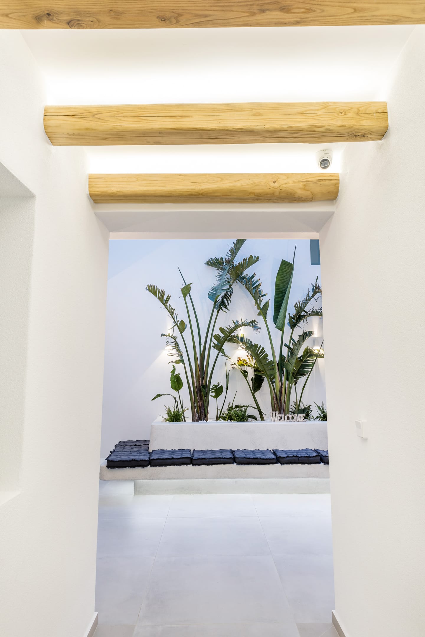 Alenor City Hotel