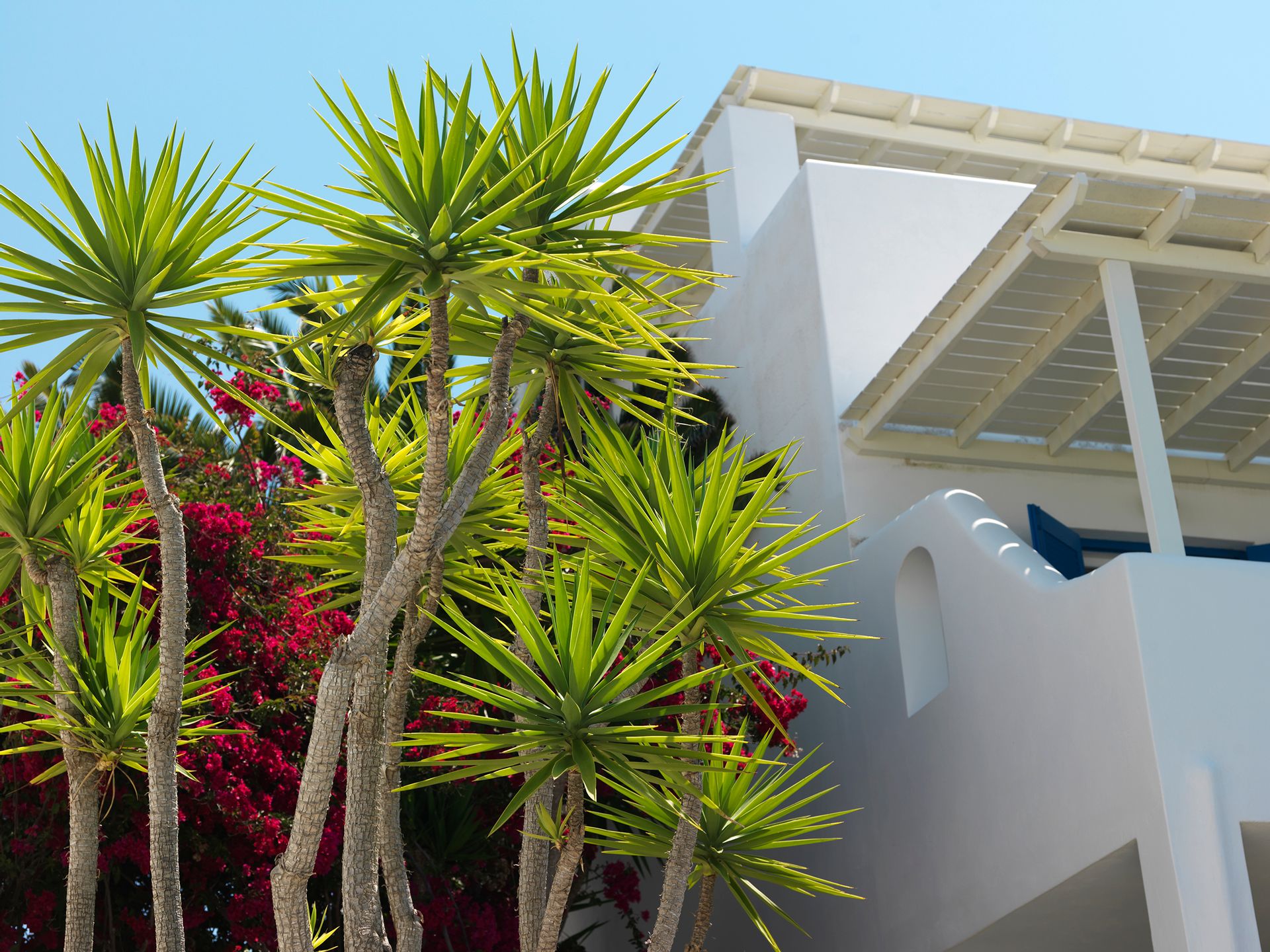 Aloni Hotel Paros