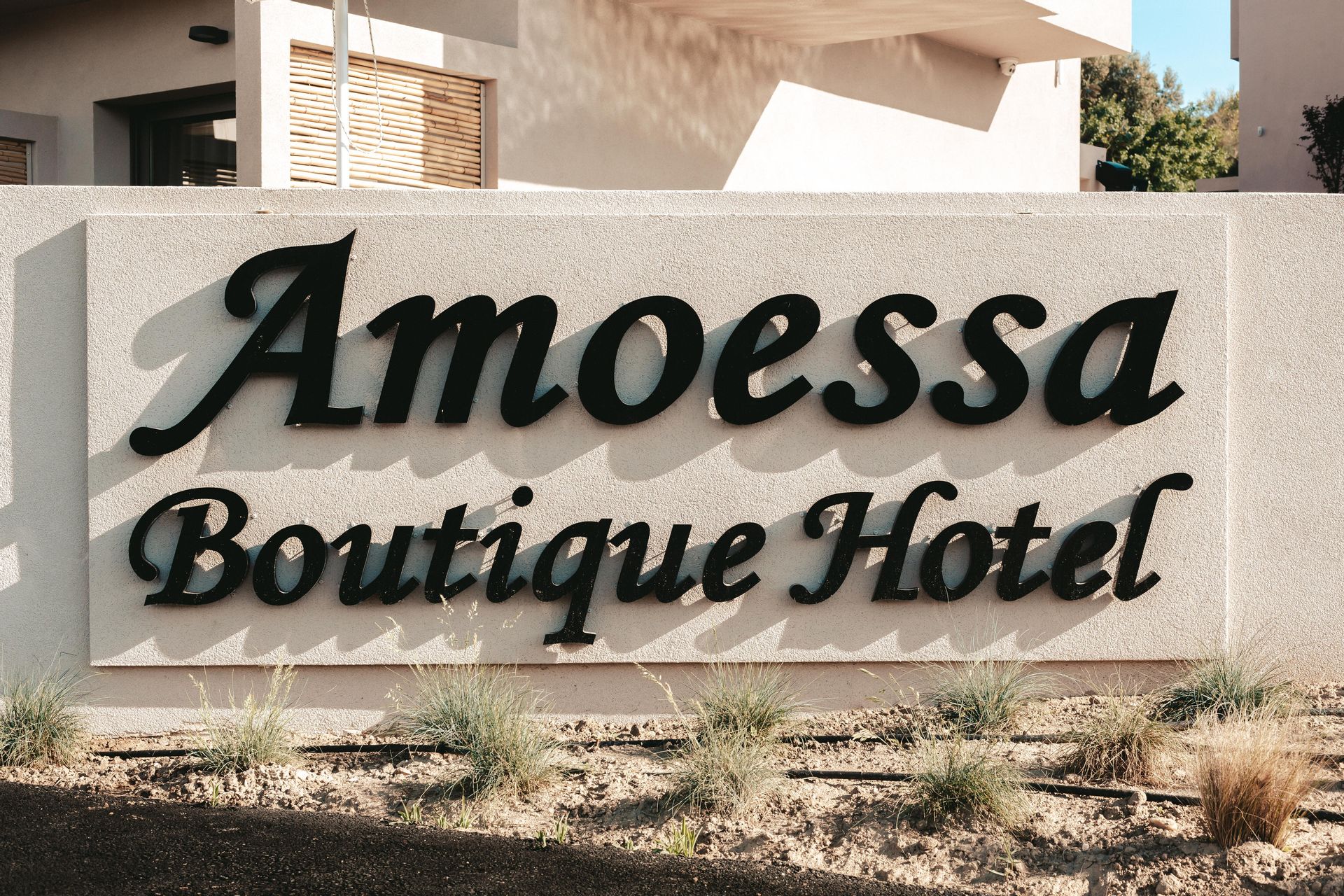Amoessa Boutique- Adults only