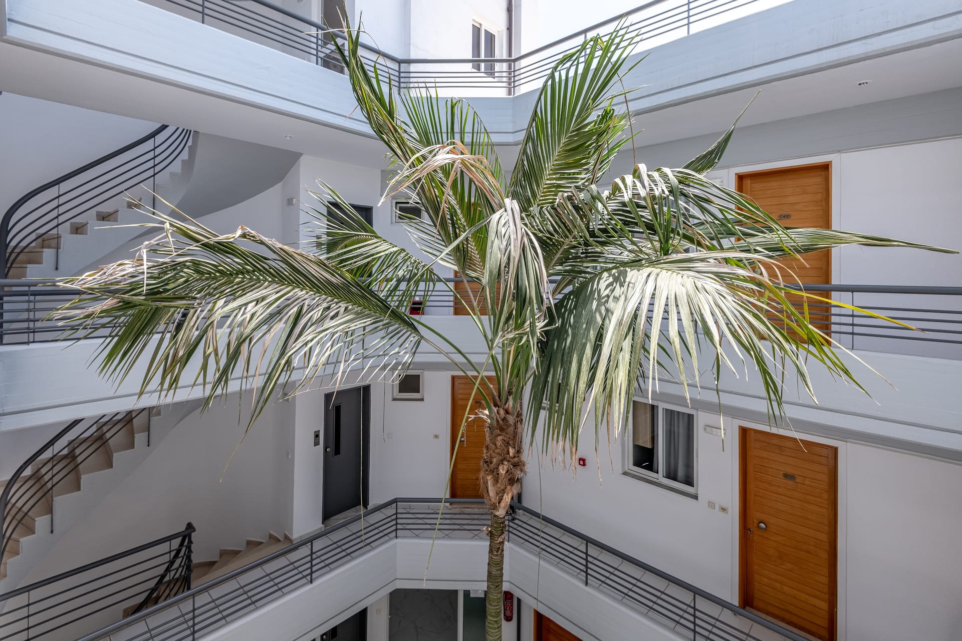 Angela Apartments Kos