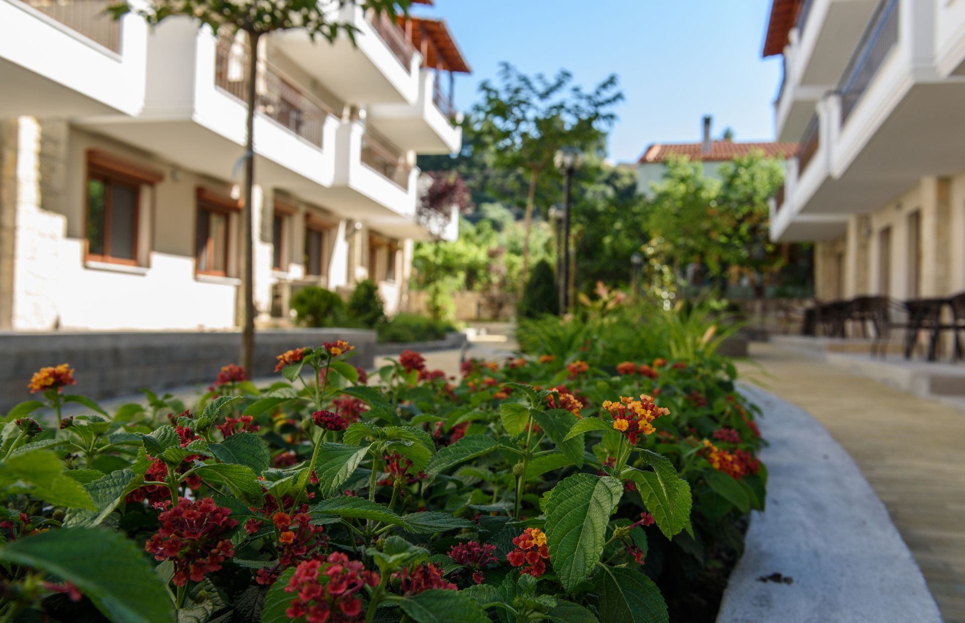 Apanemia by Flegra Hotels