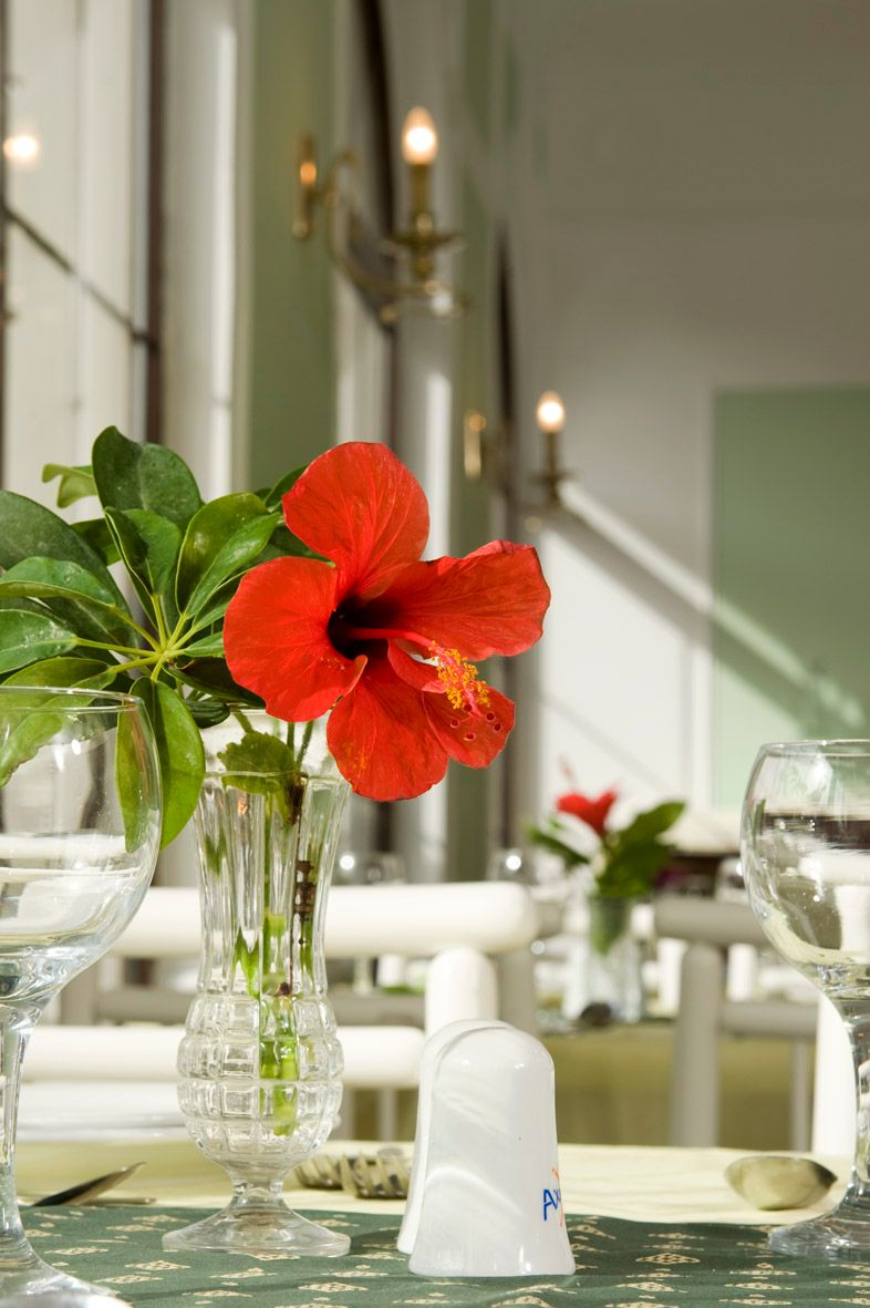 Axos Hotel Rethymno
