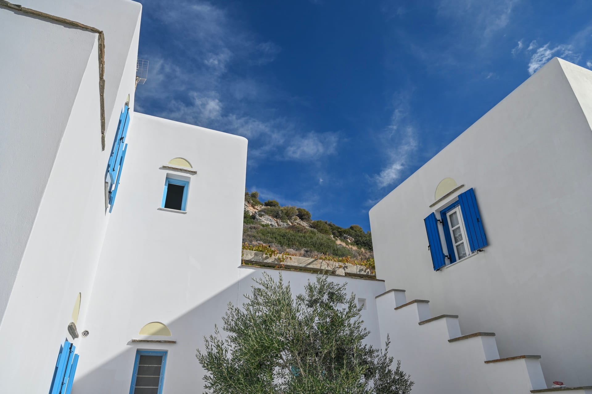 OLD – Blue Bliss