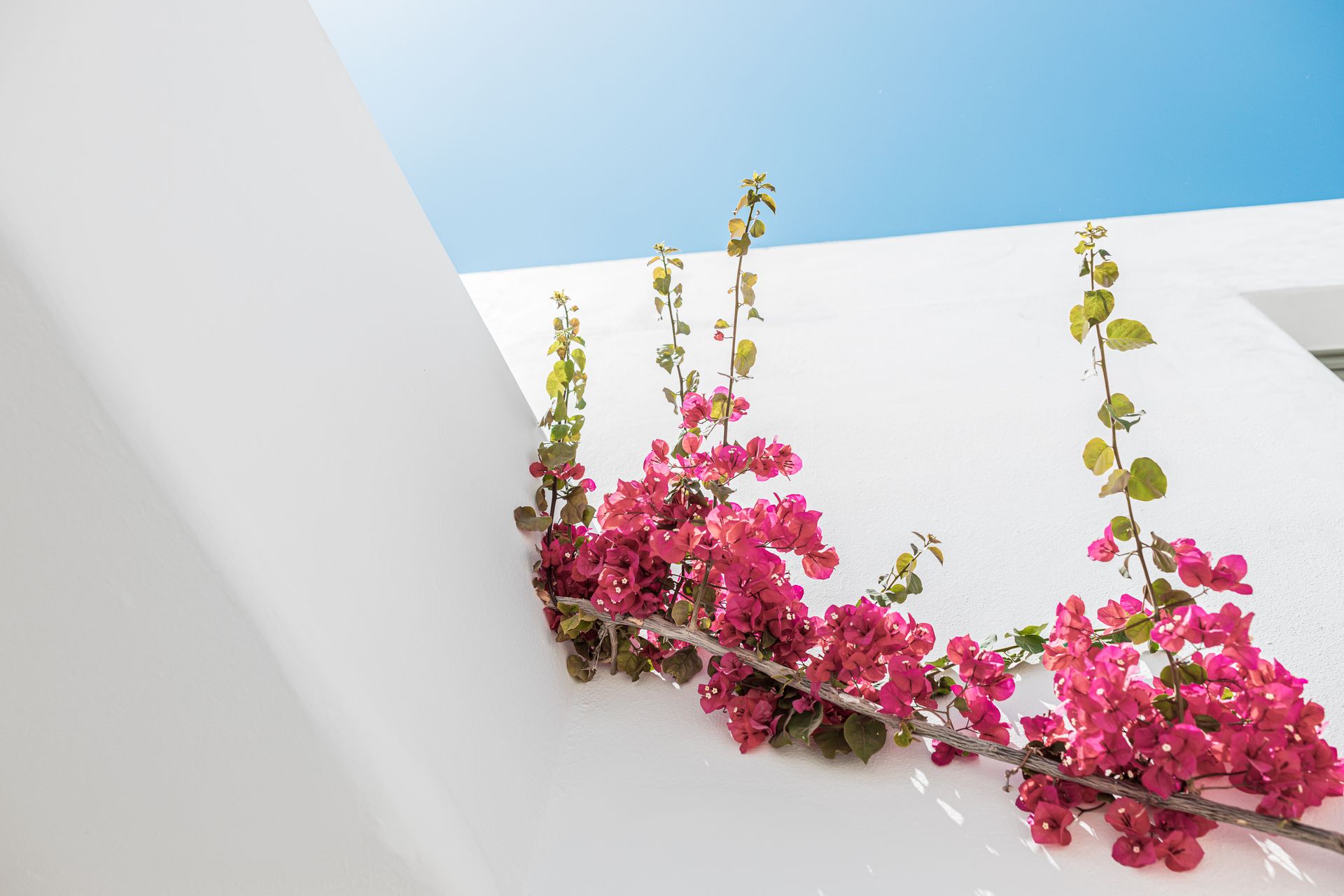 Bohemian Luxury Boutique Hotel Paros