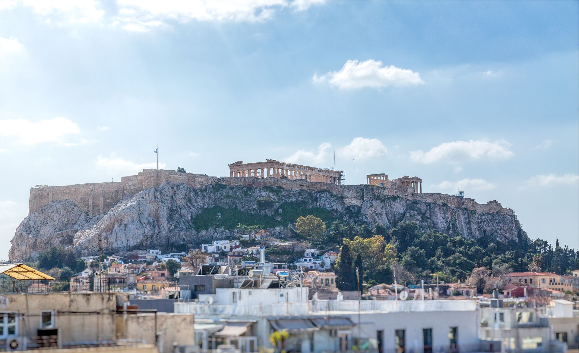 Athens Ivy
