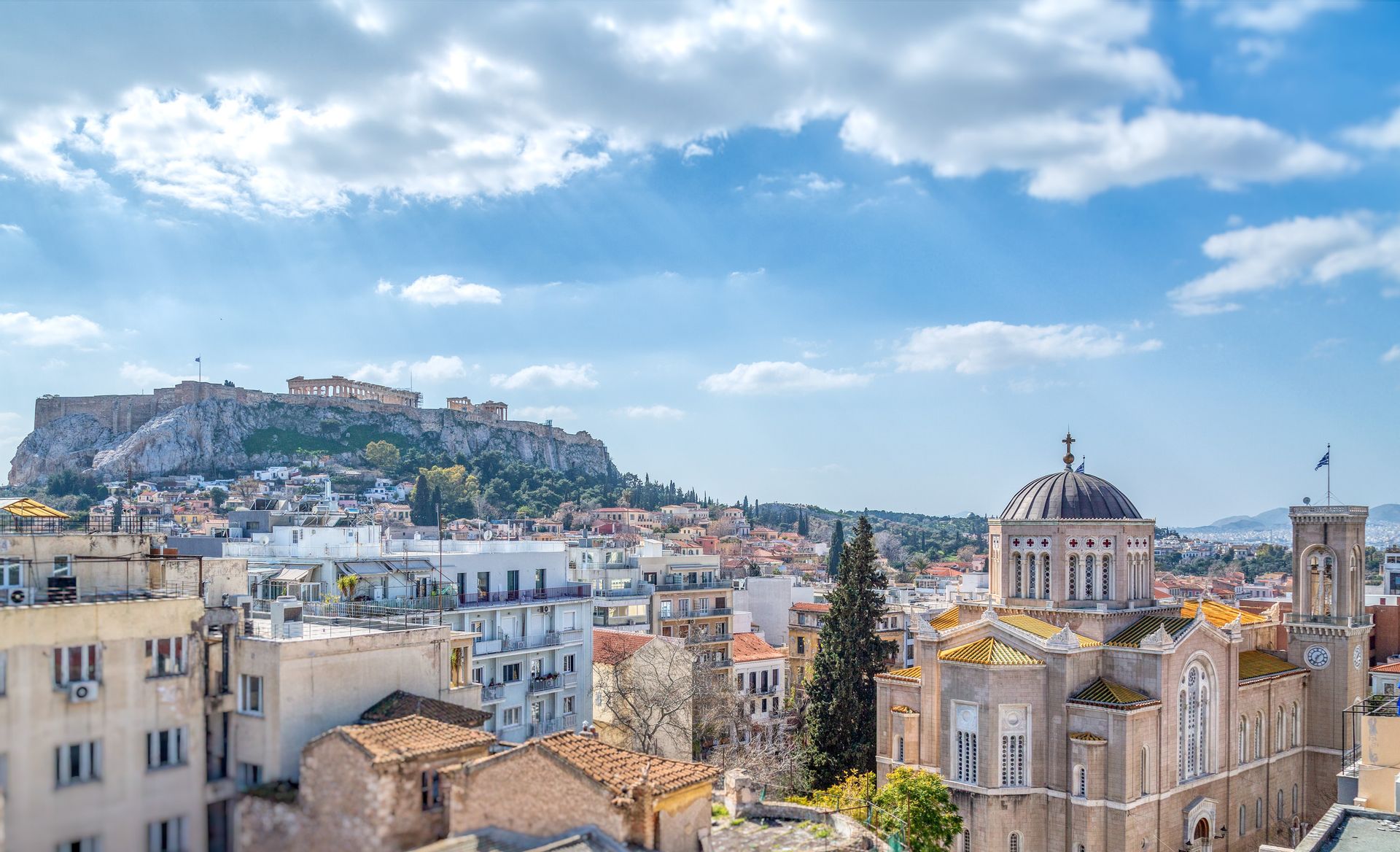 Athens Ivy