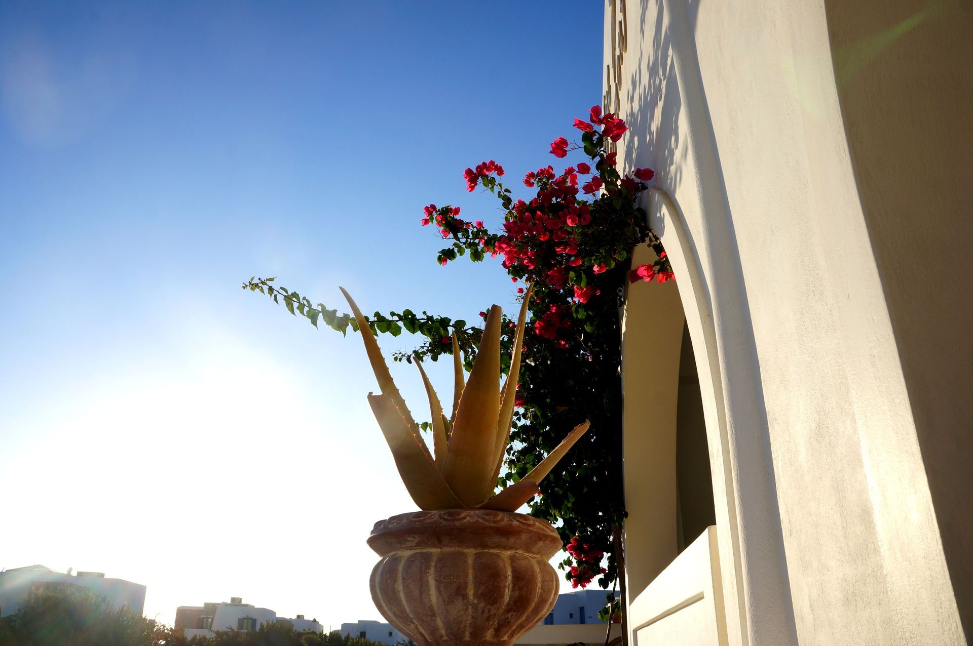 Blue Harmony Apartments Naxos