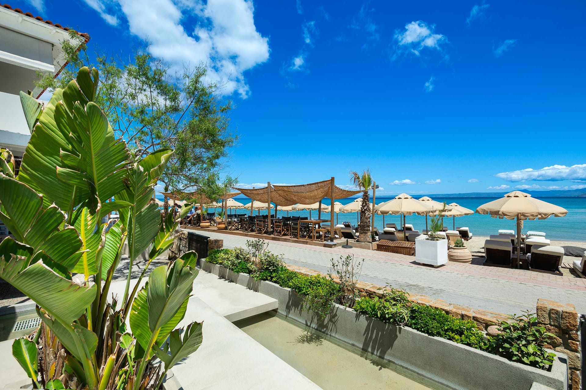 Adriana Beach