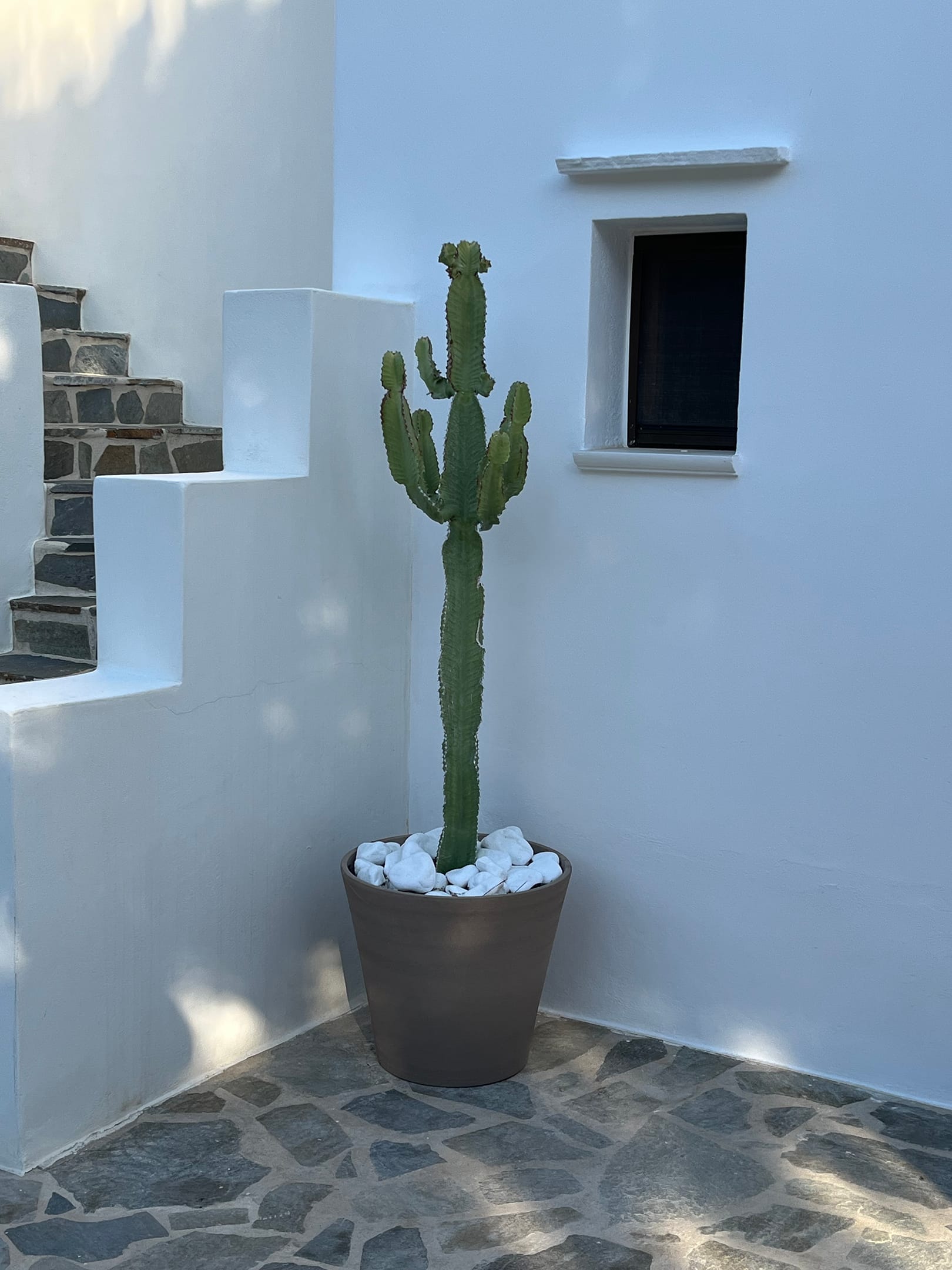 Ninemia Naxos
