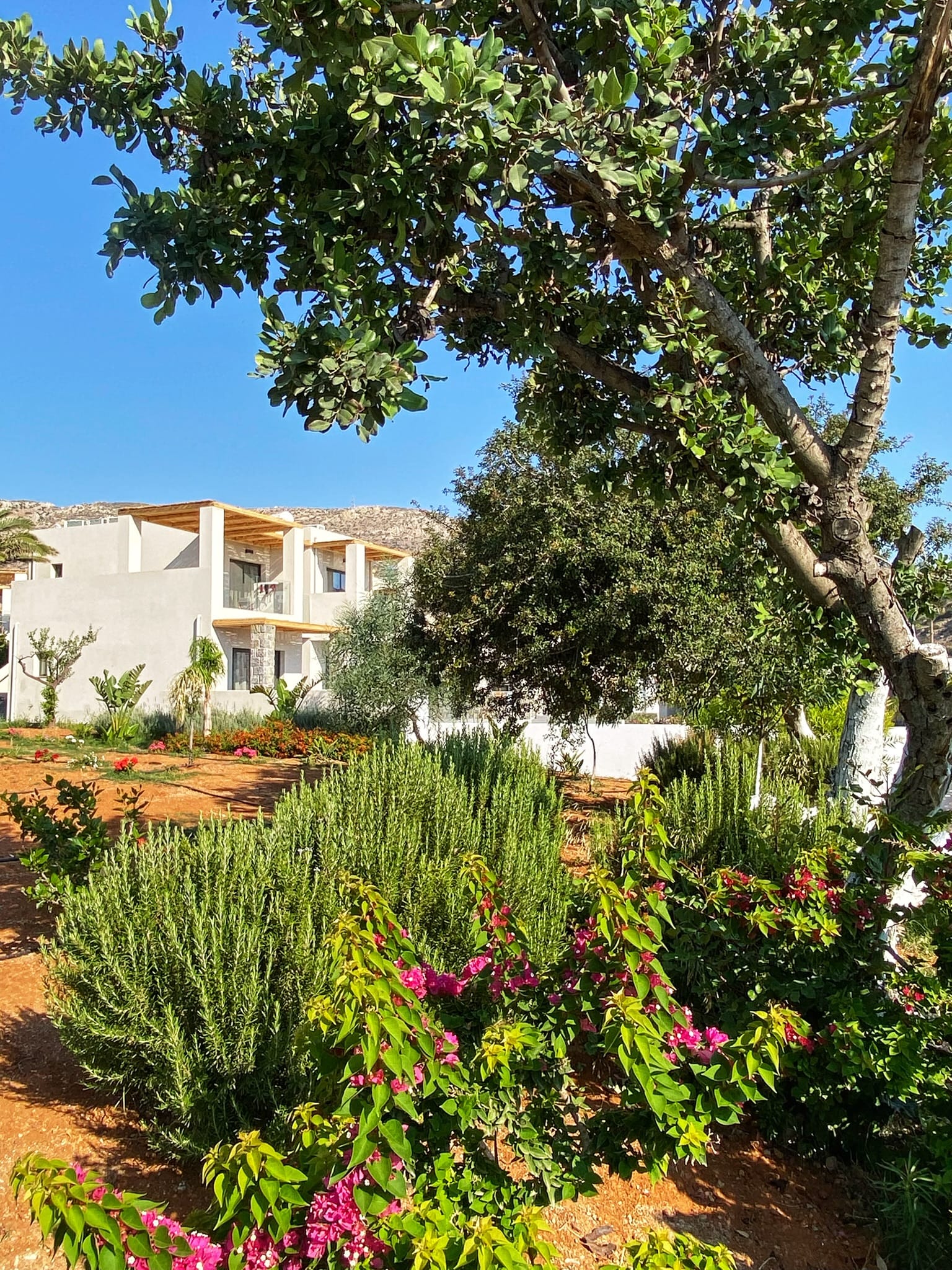Helios Beach Hotel & Bungalows